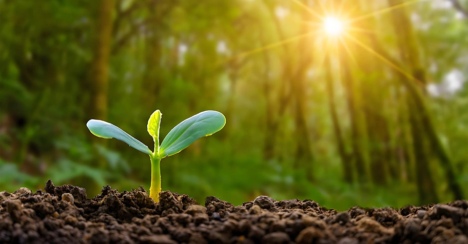 Bio-hajoaminen aurinkovoidetta Bio-hajoaminen aurinkovoidetta